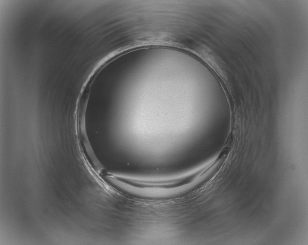 X0000071791246200607150112