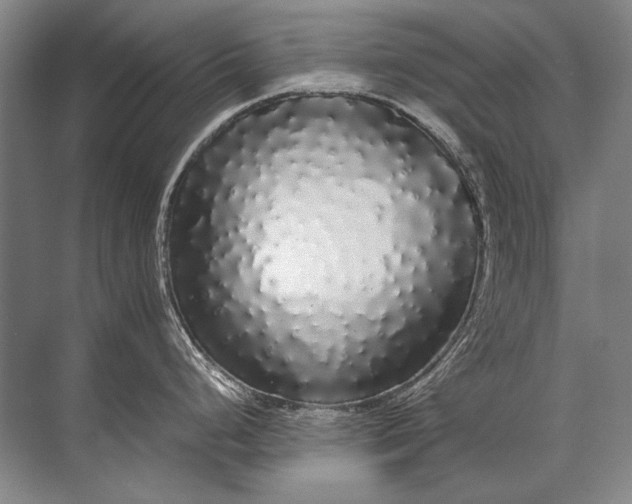 X0000071791248200607150112