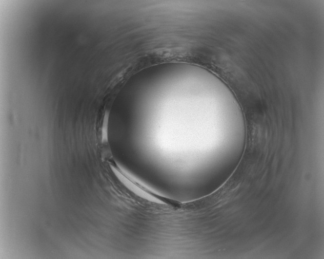X0000071791250200607150112