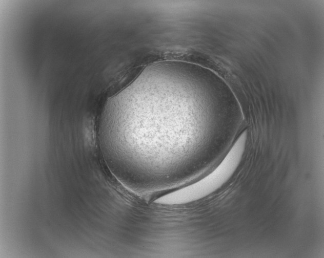 X0000071791252200607150112