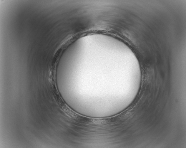 X0000071791258200607150112