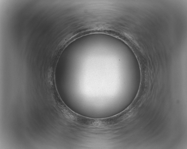 X0000071791265200607150111