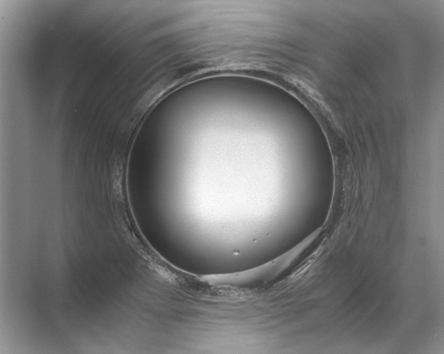 X0000071791273200607150111