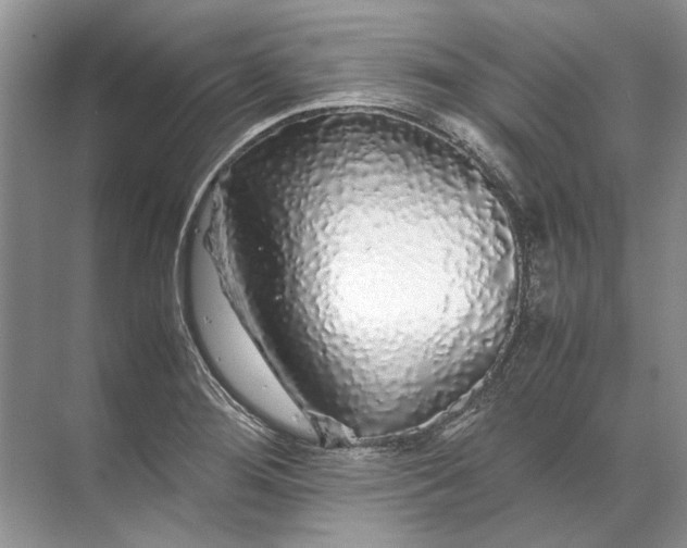 X0000071791276200607150111