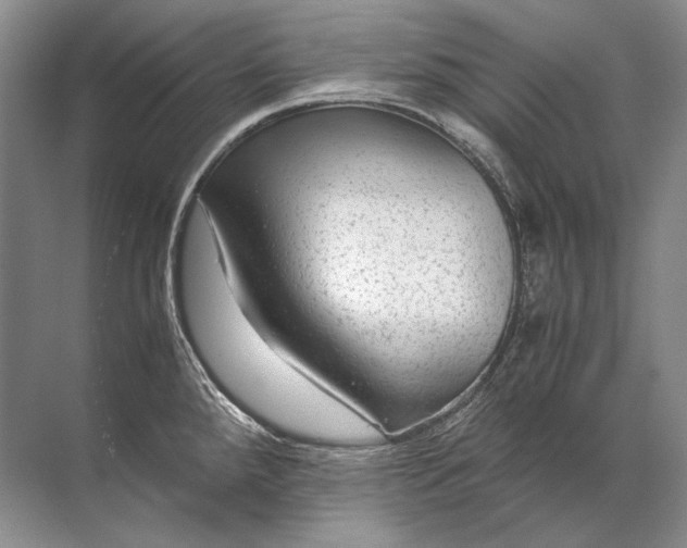 X0000071791288200607150111