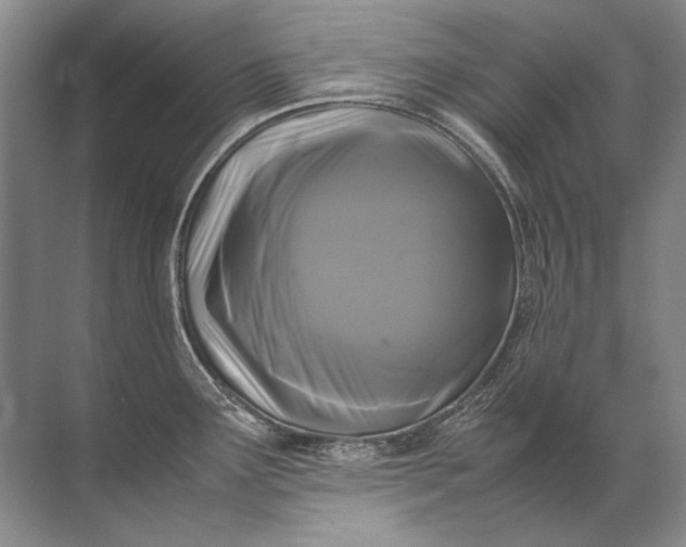 X0000071791291200607150111