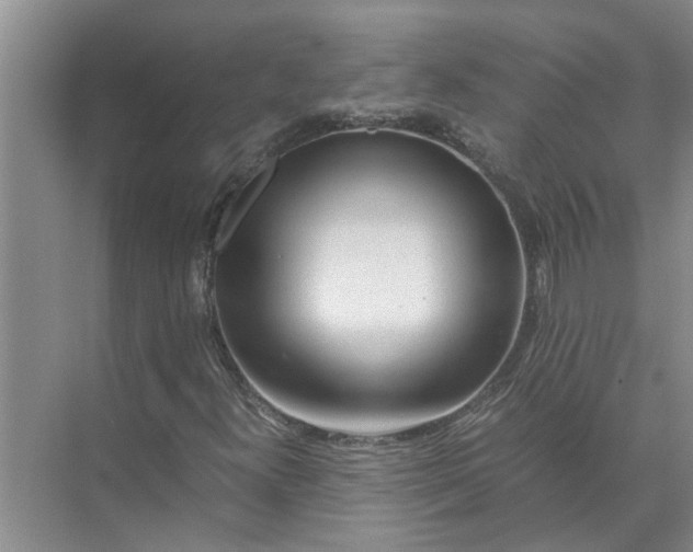 X0000071791300200607150110