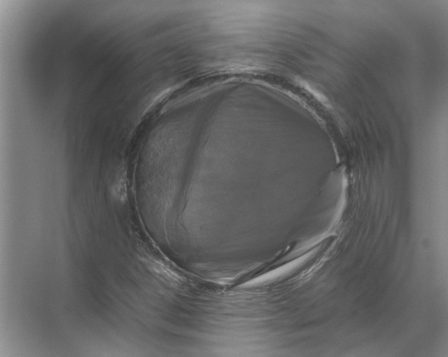 X0000071791306200607150110