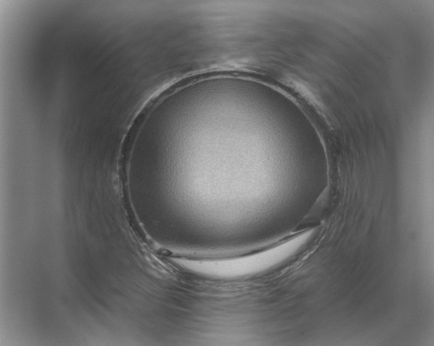 X0000071791308200607150110