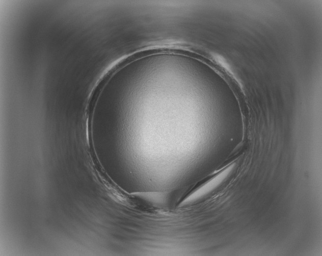 X0000071791320200607150110