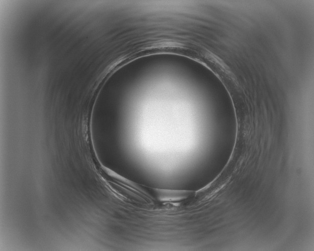 X0000071791321200607150110