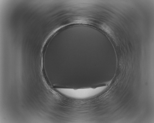 X0000071791323200607150111