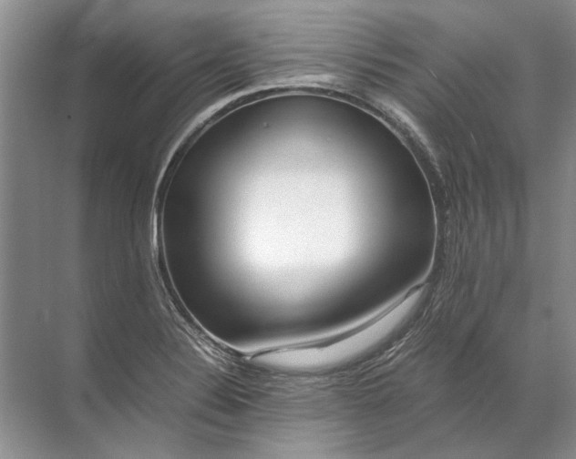 X0000071791324200607150111