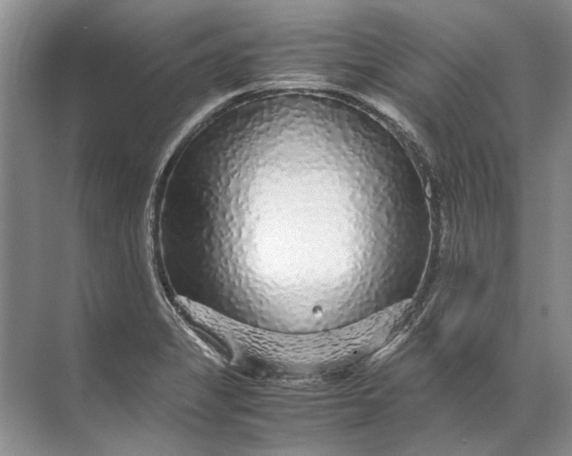 X0000071791325200607150111