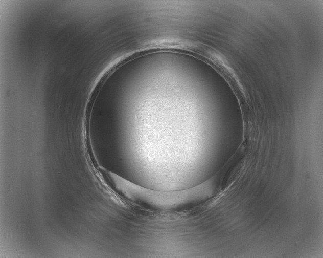 X0000071791328200607150111