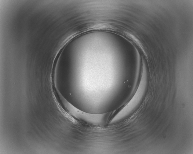 X0000071791330200607150111