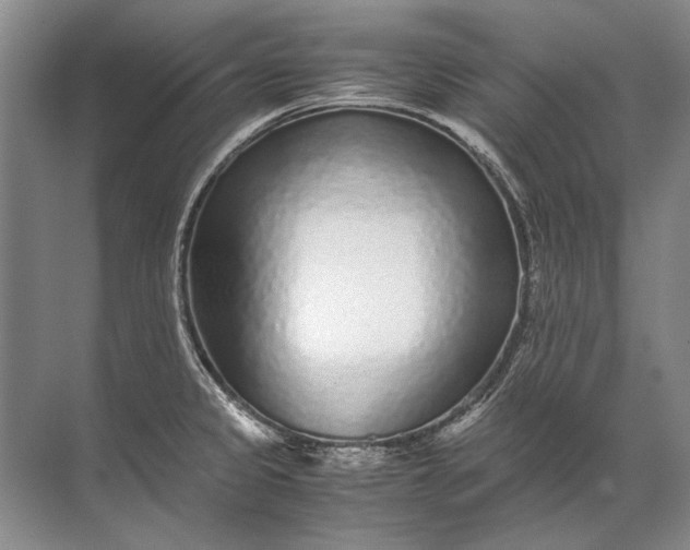 X0000071791333200607150111