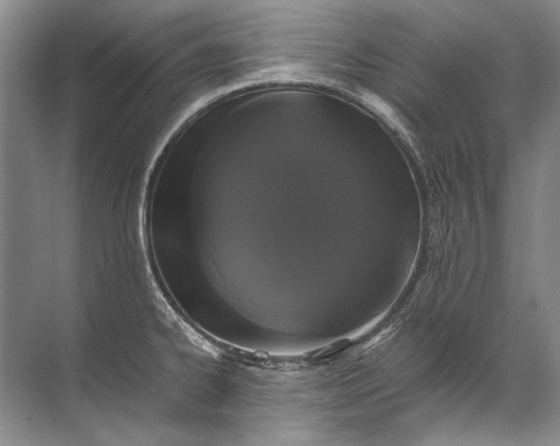 X0000071791334200607150111