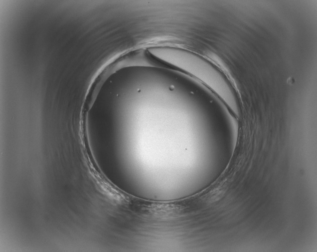 X0000071791336200607150111