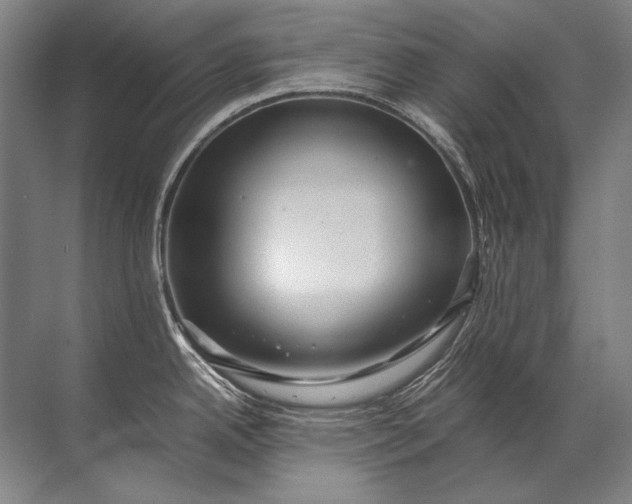 X0000071791342200607150111