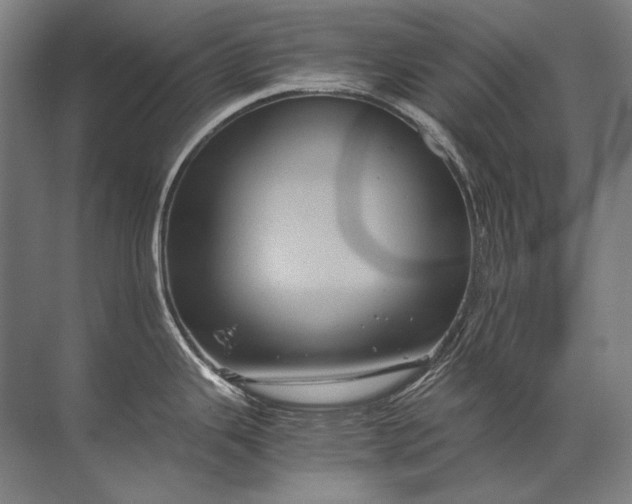 X0000071791343200607150111