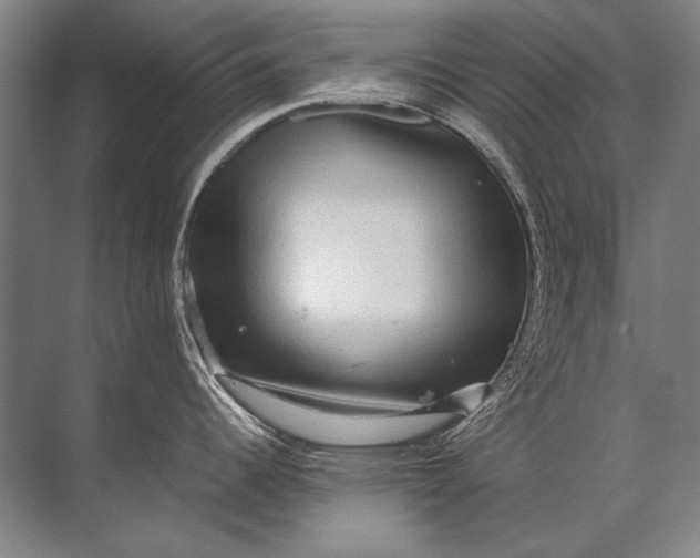 X0000071791344200607150111