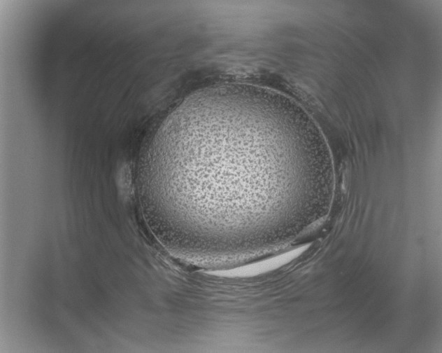 X0000071791347200607150110