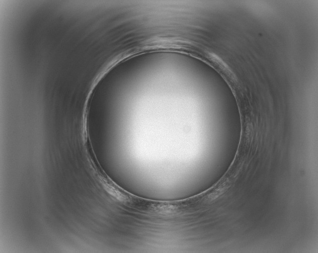 X0000071791370200607150110