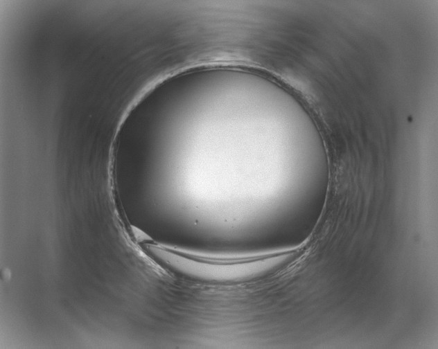X0000071791374200607150110