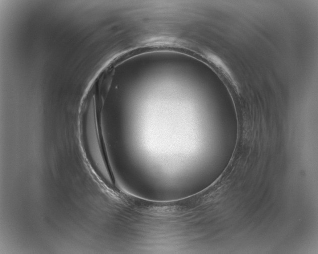 X0000071791376200607150110