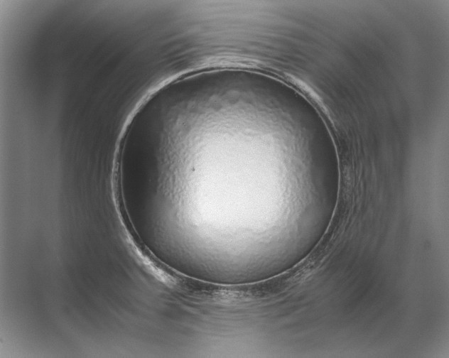 X0000071791379200607150109
