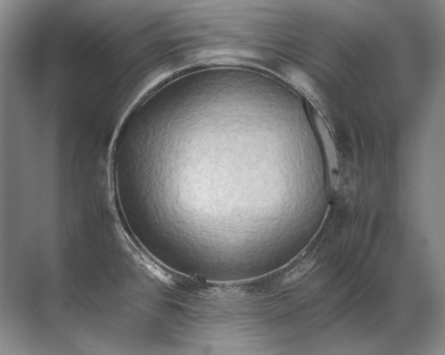 X0000071791384200607150109