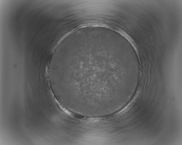 X0000071791385200607150109