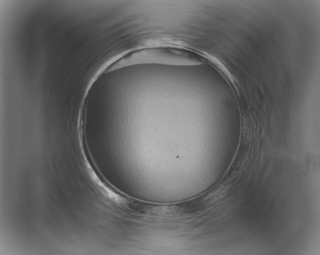 X0000071791387200607150109