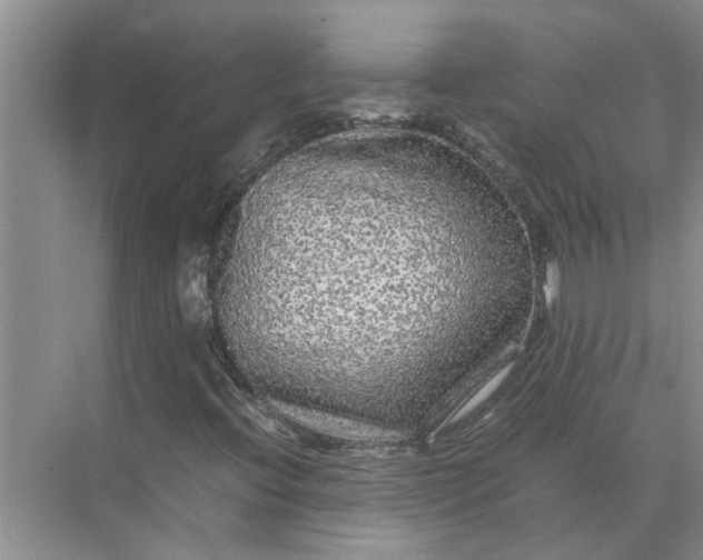 X0000071791396200607150109
