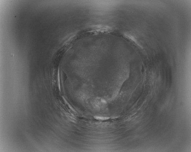 X0000071791399200607150109