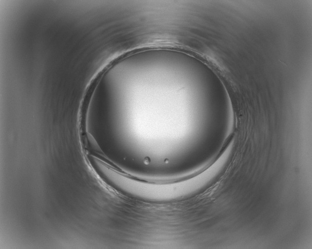 X0000071791422200607150109