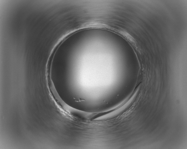 X0000071791430200607150109