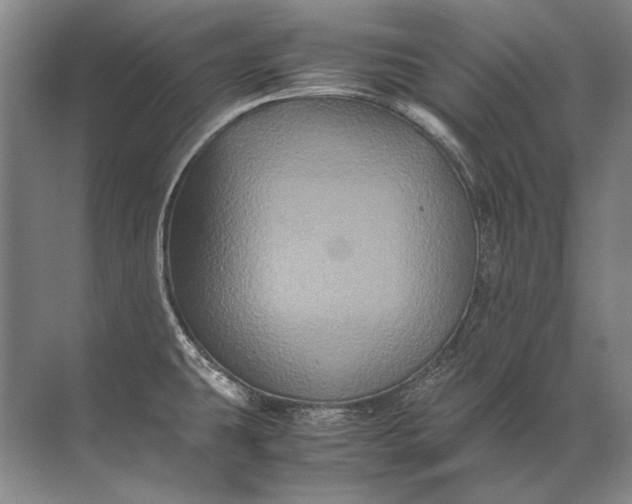 X0000071791431200607150109