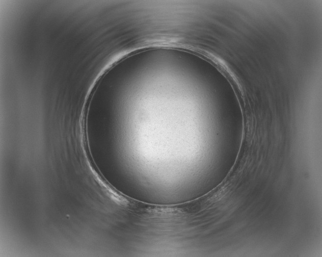 X0000071791432200607150109
