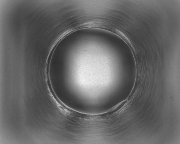 X0000071791434200607150109
