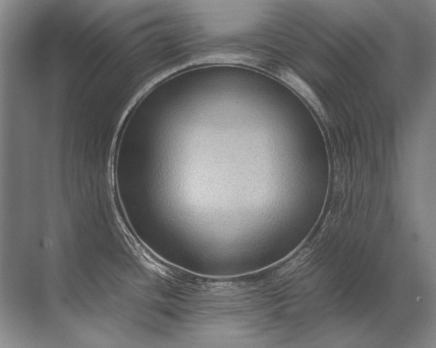 X0000071791436200607150109