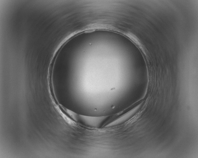 X0000071791438200607150109