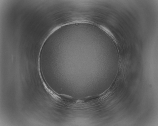 X0000071791439200607150109