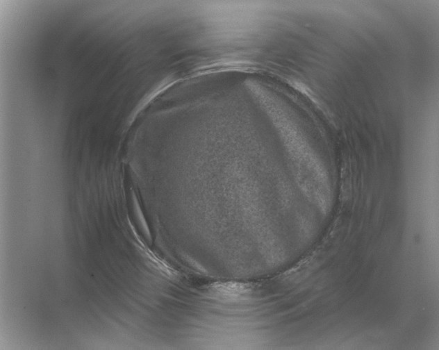 X0000071791450200607150108