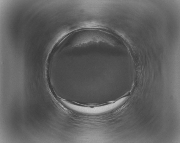 X0000071791463200607150108
