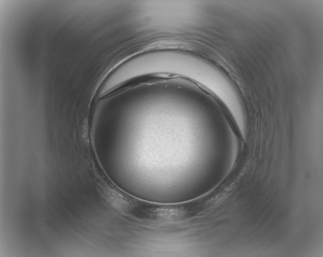 X0000071791465200607150108