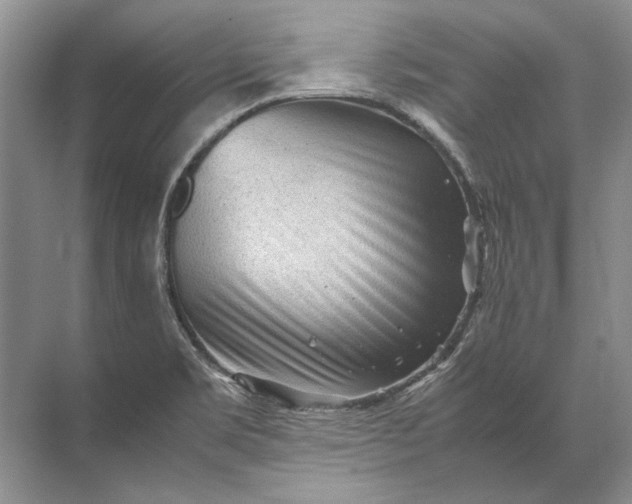 X0000071791469200607150108