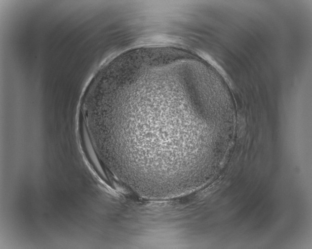 X0000071791477200607150108