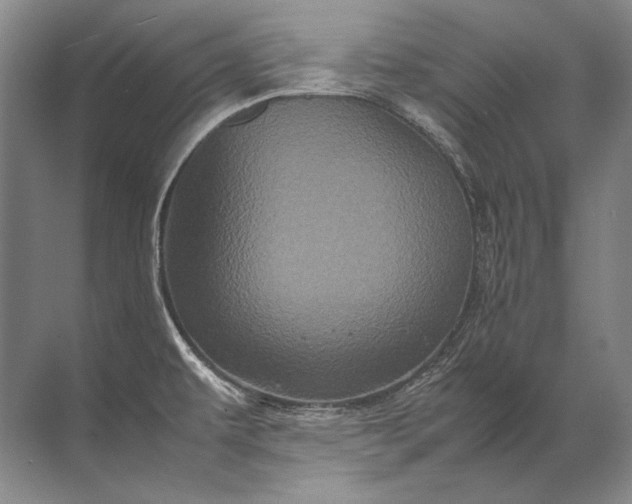 X0000071791479200607150108